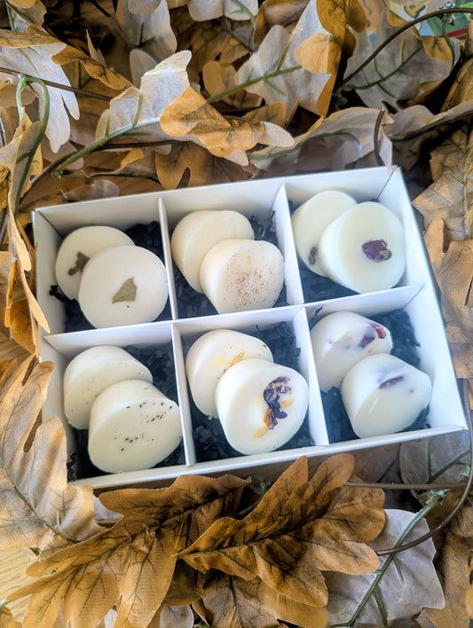 Autumn Wax Melt Gift Box