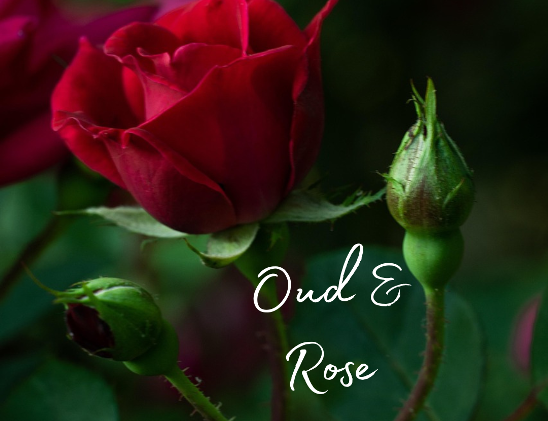 Oud & Rose Car Diffuser 8ml