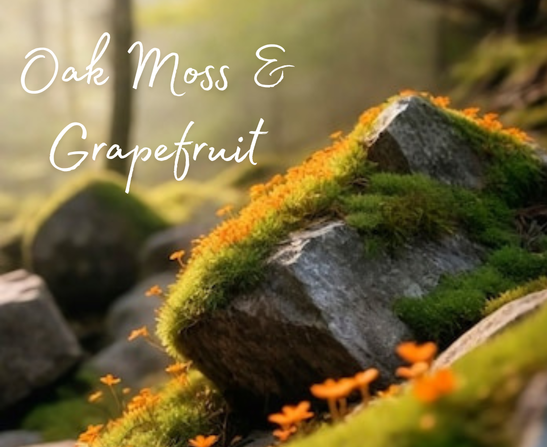 Oak Moss & Grapefruit Car Diffuser 8ml