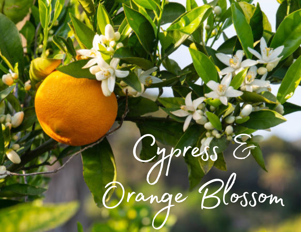 Cypress & Orange Blossom Car Diffuser 8ml